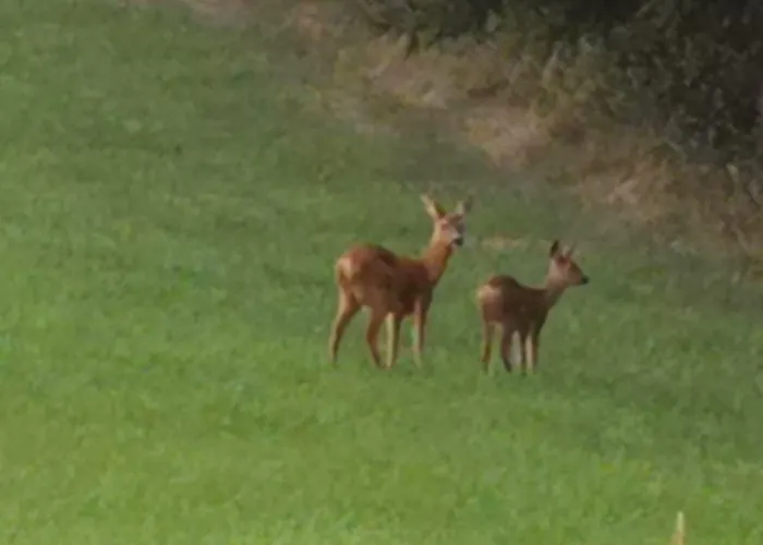 Hennetaler Hof Erflinghausen